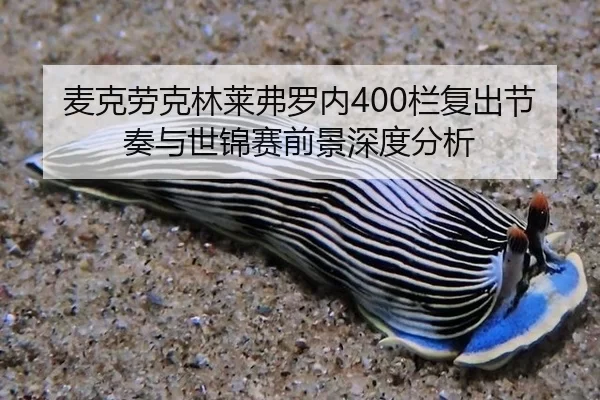 mai-ke-lao-ke-lin-lai-fu-luo-nei-lan-fu-chu-jie-zou-yu-shi-jin-sai-qian-jing-shen-du-fen-xi-2-209.jpg